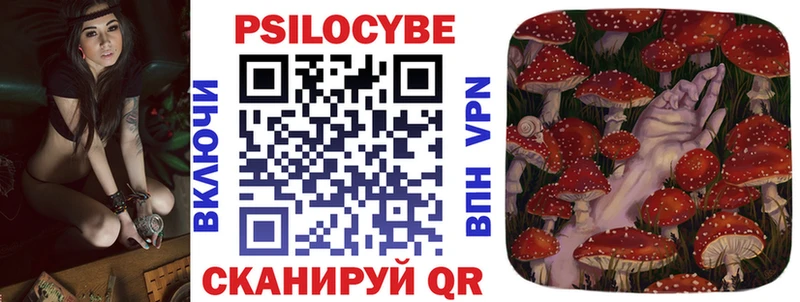 Псилоцибиновые грибы Psilocybine cubensis Кедровый