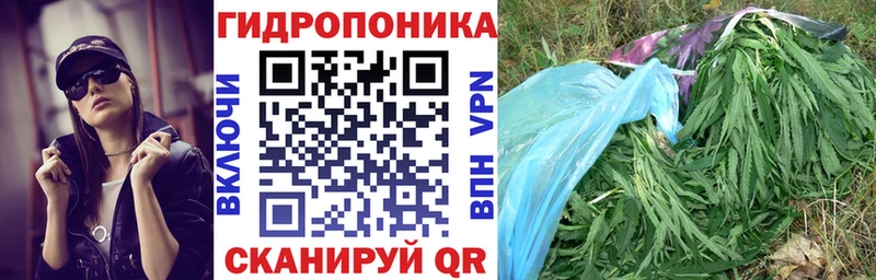 МАРИХУАНА сатива Кедровый